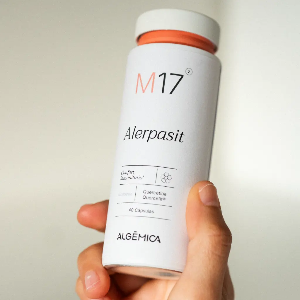 Algemica_Web_M17 Alerpasit 19.webp