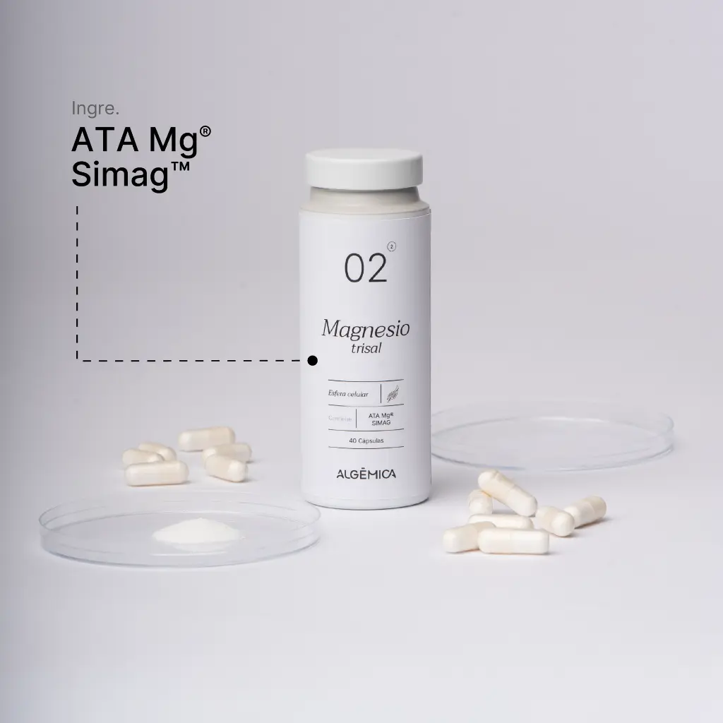 Algemica_Web_02 3.webp