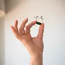 Algemica_Web_32 21.webp
